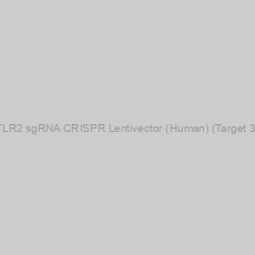 Image of TLR2 sgRNA CRISPR Lentivector (Human) (Target 3)